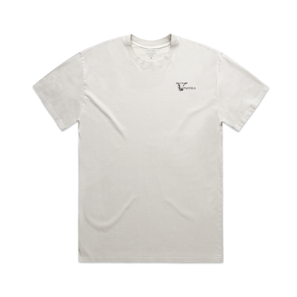 Pastels® Over-Sized Tee